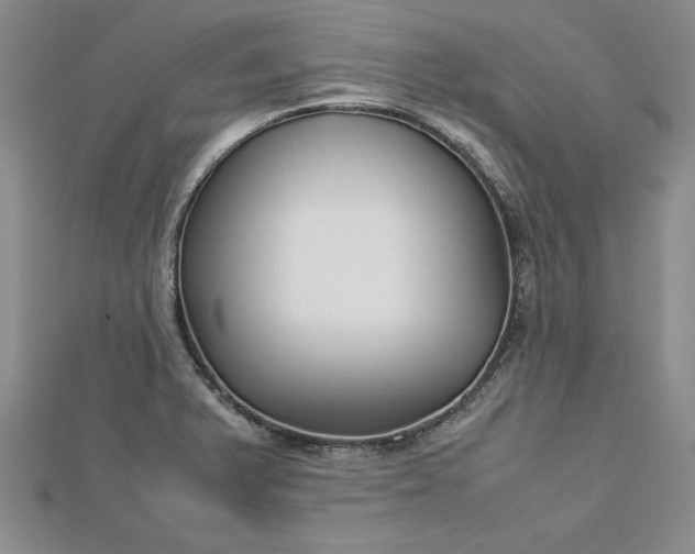 X0000112791375200909041403