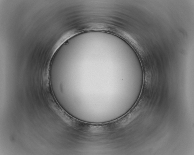 X0000112791378200909041403