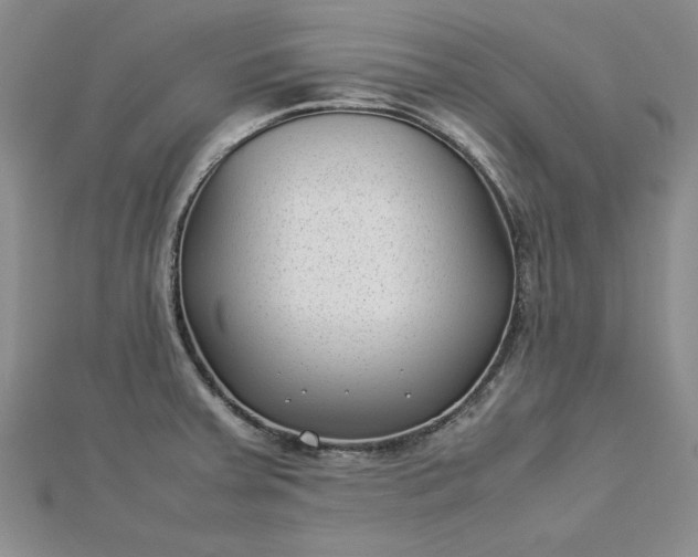 X0000112791379200909041403