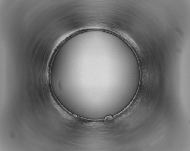 X0000112791380200909041403