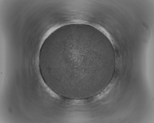 X0000112791381200909041403