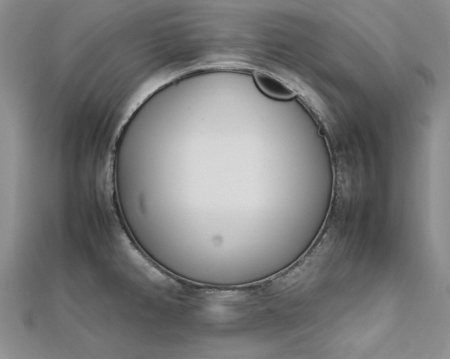 X0000112791382200909041403