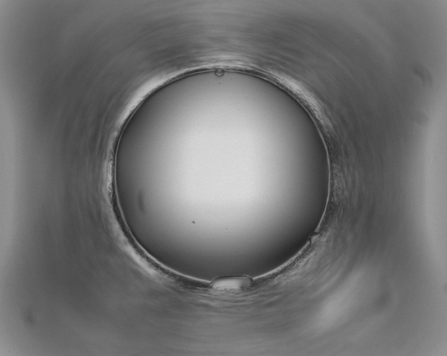 X0000112791383200909041403