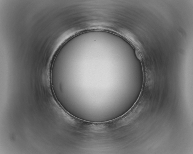 X0000112791384200909041403