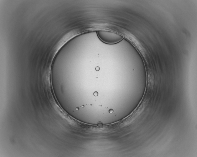 X0000112791386200909041403