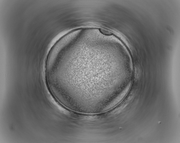 X0000112791387200909041403