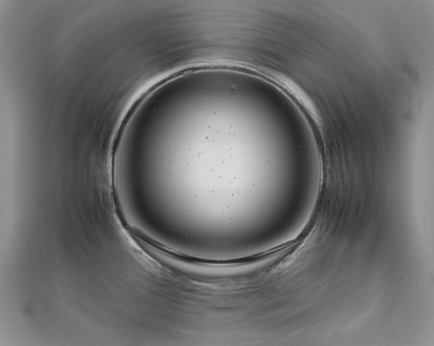 X0000112791388200909041403