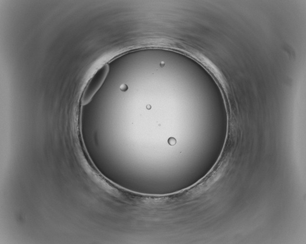 X0000112791389200909041403