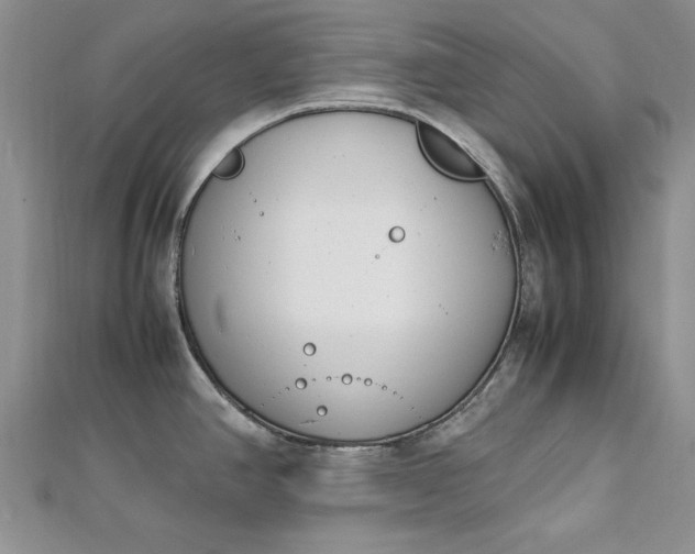 X0000112791390200909041403