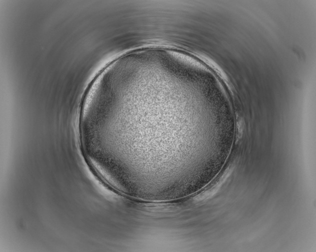 X0000112791391200909041403