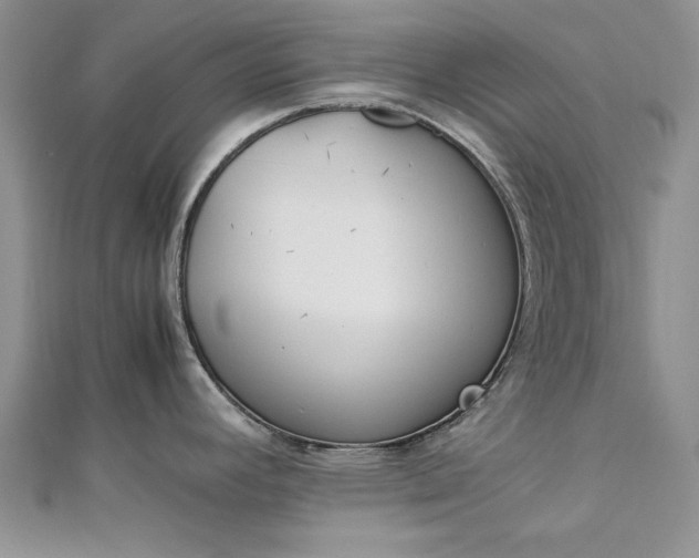 X0000112791392200909041403