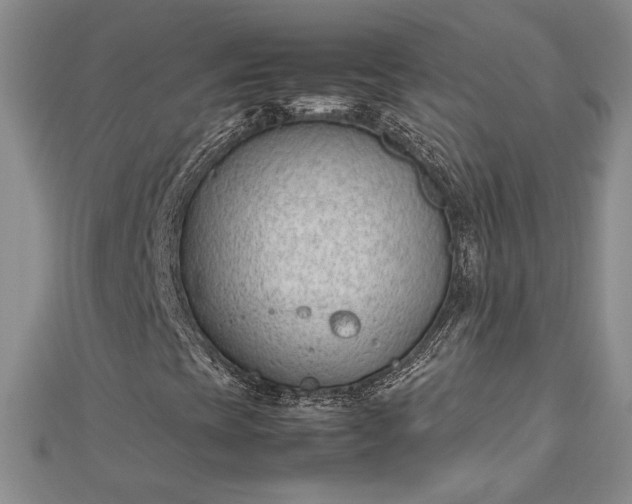 X0000112791393200909041402