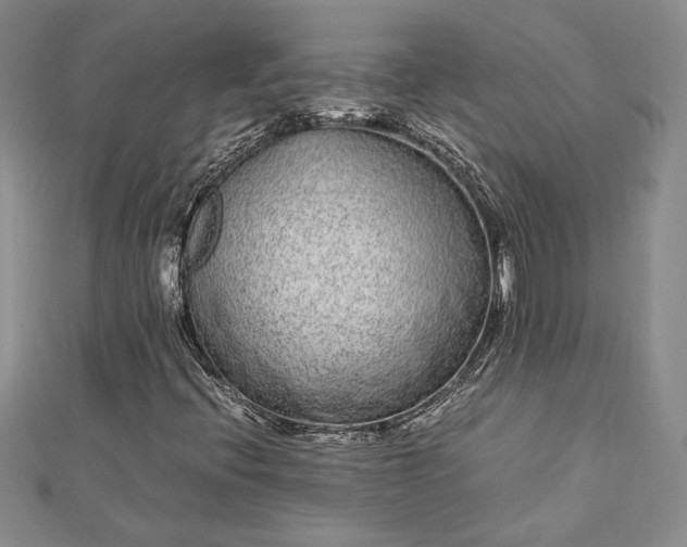 X0000112791396200909041402