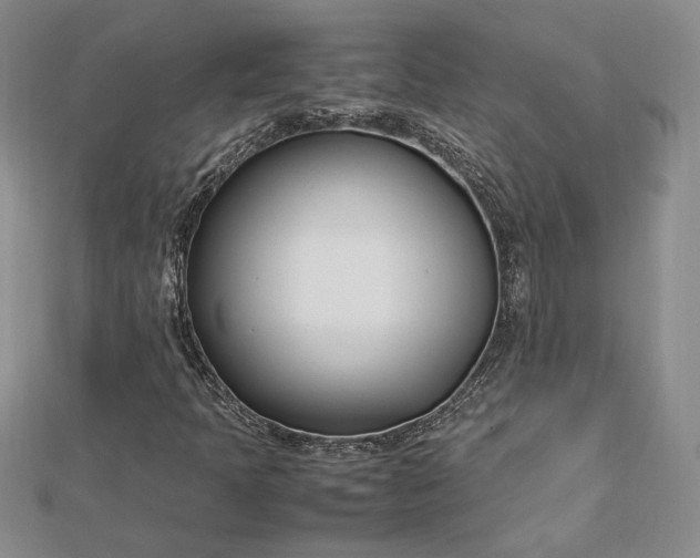 X0000112791397200909041402