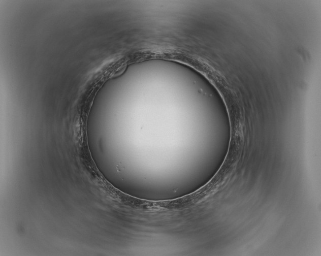 X0000112791398200909041402