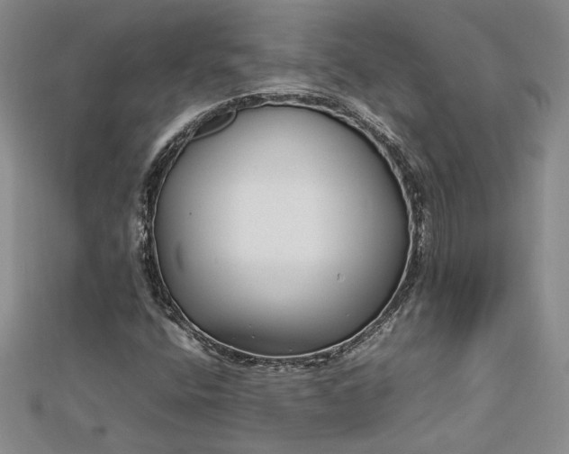 X0000112791400200909041402