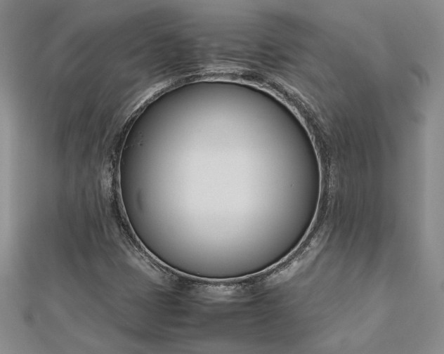 X0000112791401200909041402