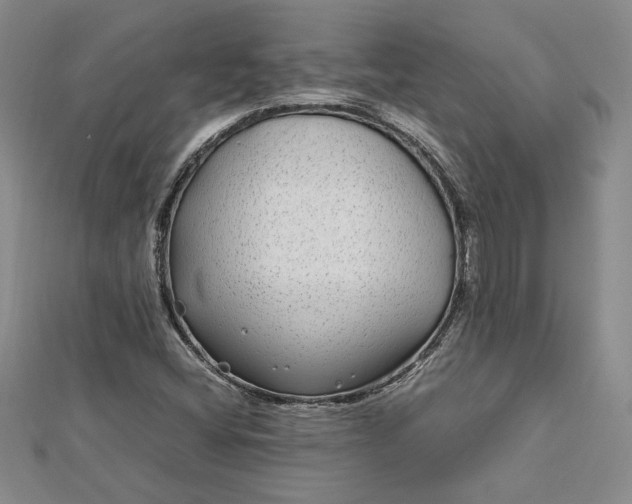 X0000112791404200909041402