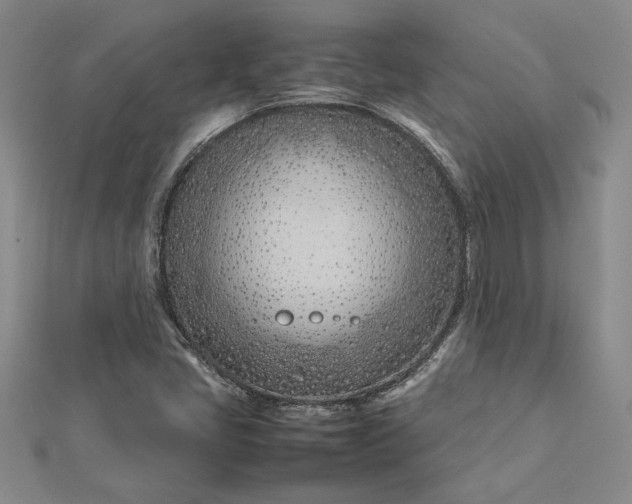 X0000112791405200909041402