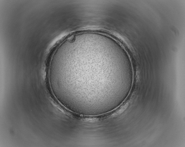 X0000112791406200909041402