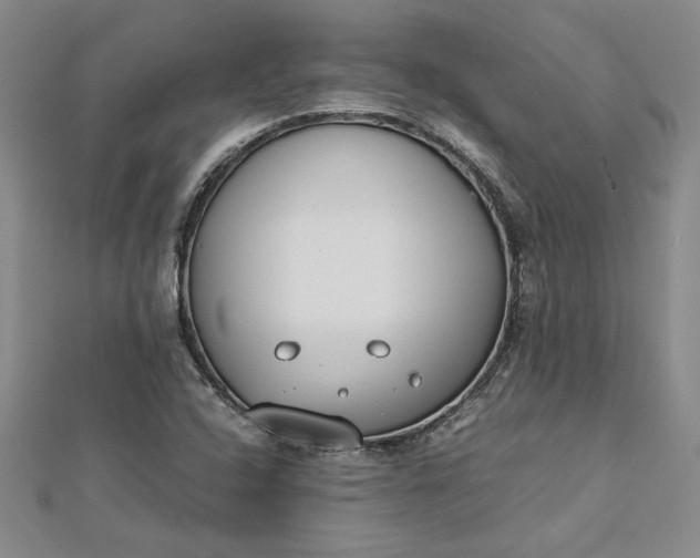 X0000112791408200909041402