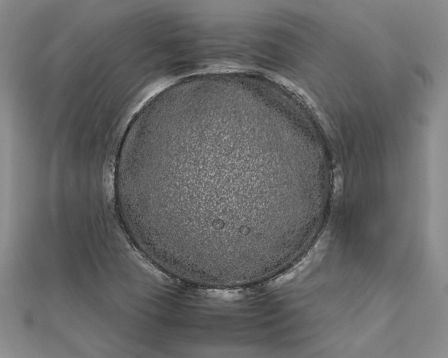 X0000112791409200909041402