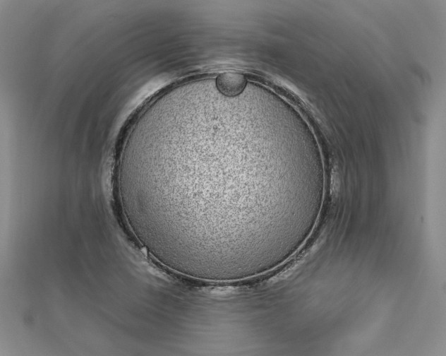 X0000112791410200909041402