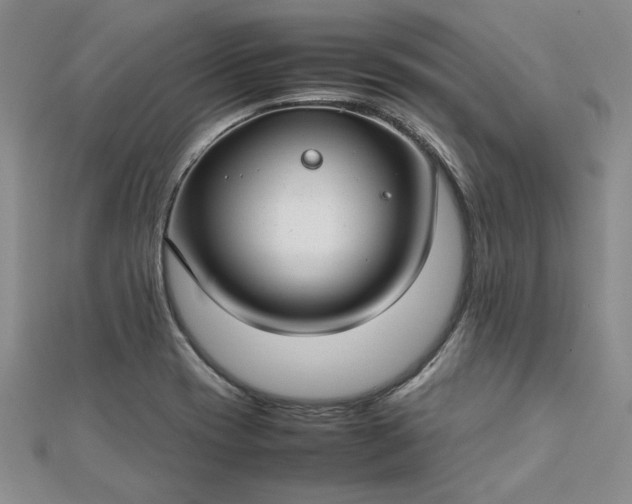 X0000112791417200909041403