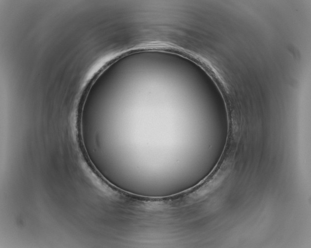 X0000112791422200909041403