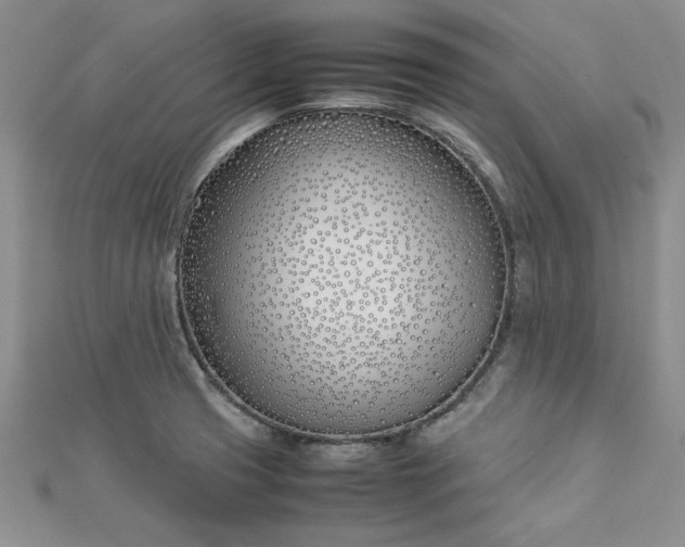 X0000112791425200909041403