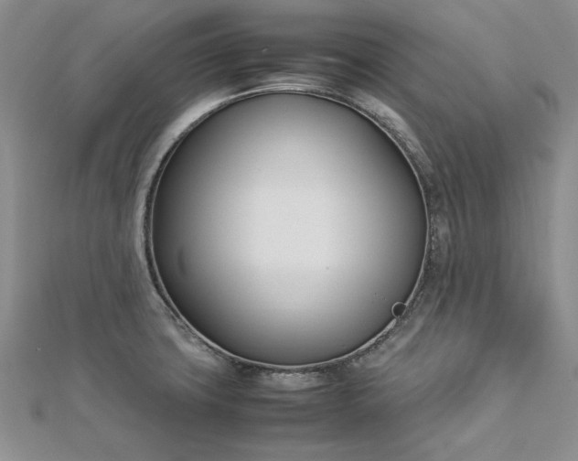 X0000112791427200909041403