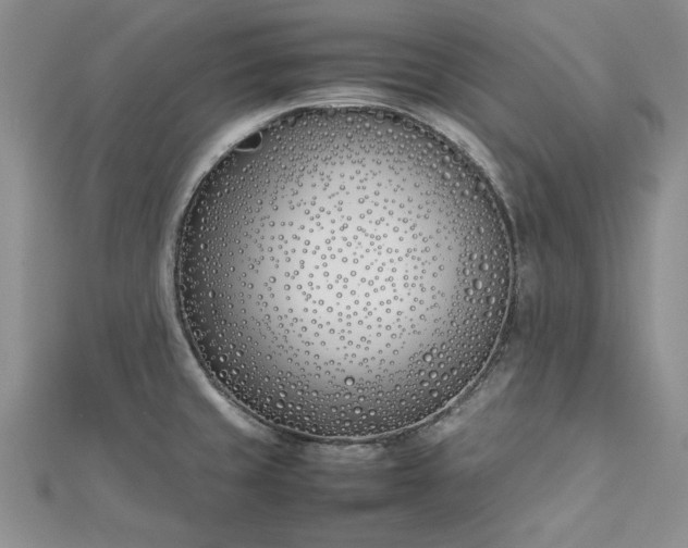 X0000112791429200909041403