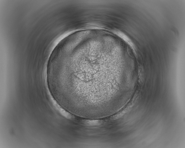 X0000112791431200909041403