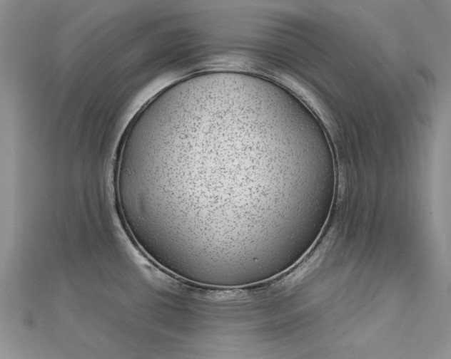 X0000112791434200909041403