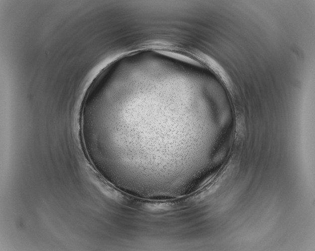 X0000112791435200909041403