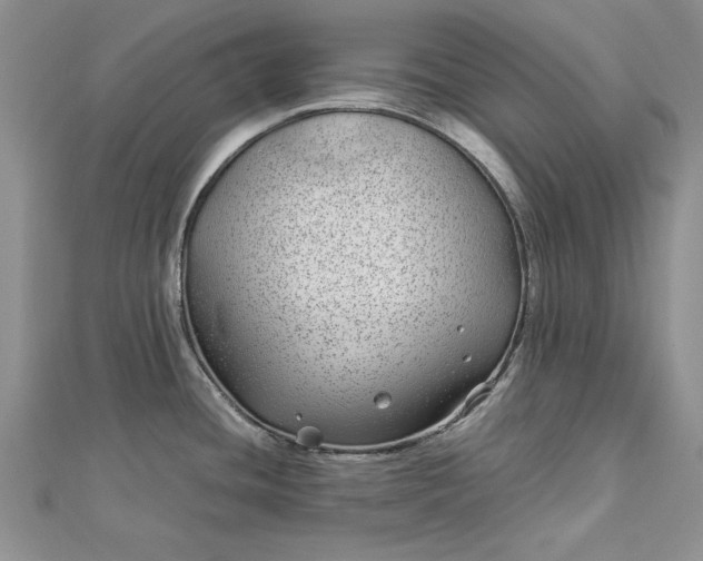 X0000112791436200909041403