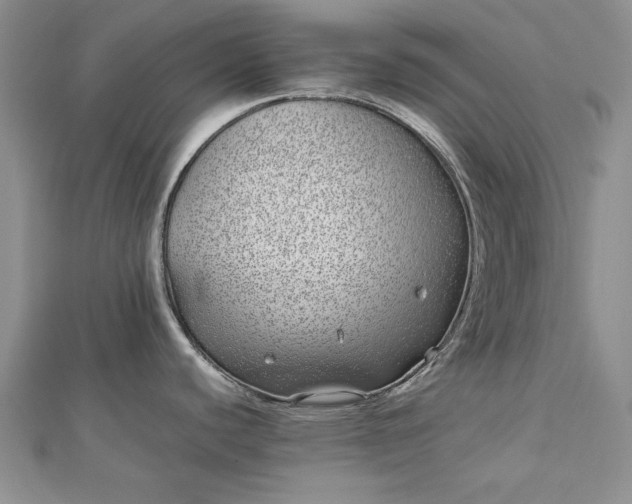 X0000112791440200909041403