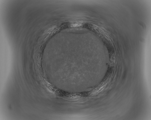 X0000112791441200909041402