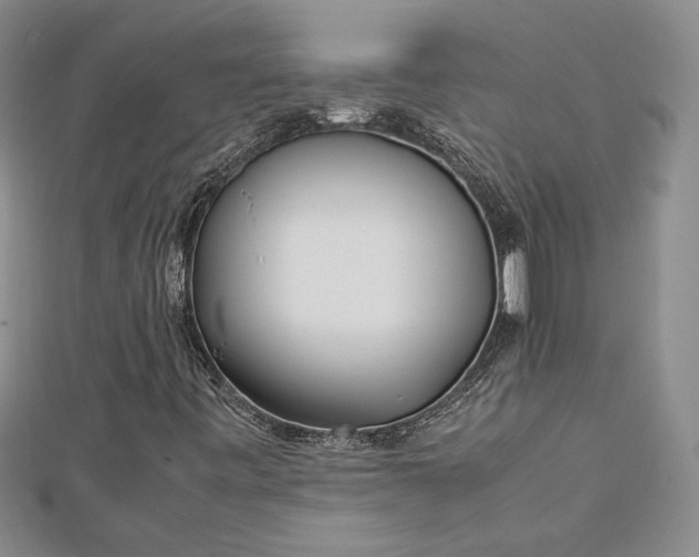 X0000112791443200909041402