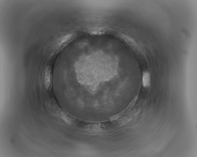 X0000112791444200909041402