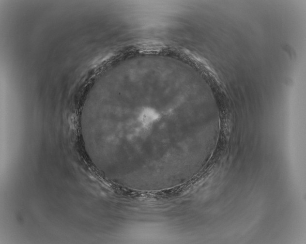 X0000112791445200909041402