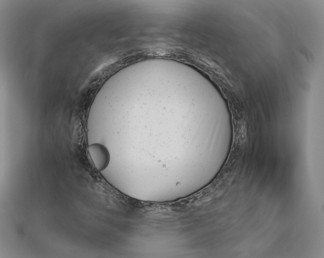 X0000112791446200909041402