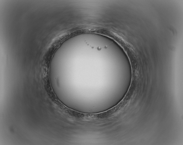 X0000112791447200909041402