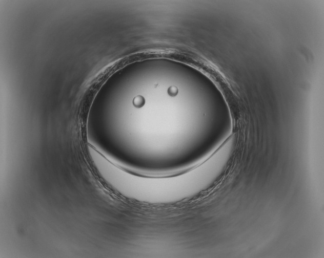 X0000112791448200909041402