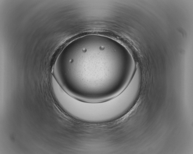 X0000112791449200909041402