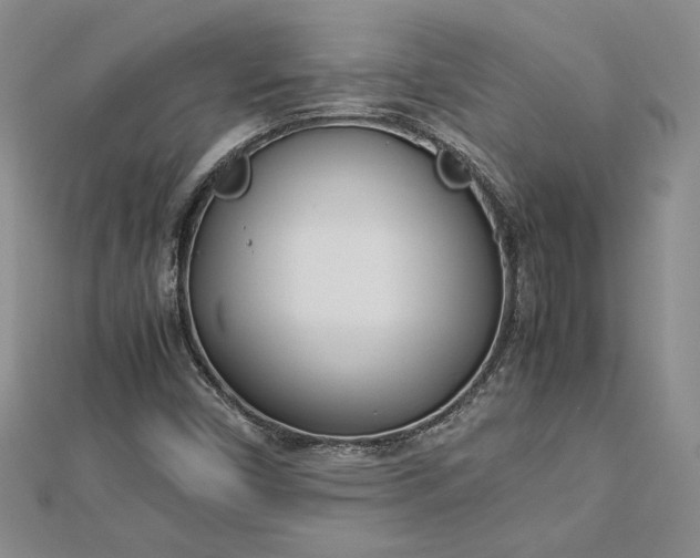 X0000112791450200909041402