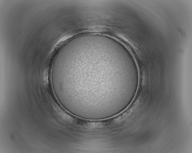 X0000112791451200909041402