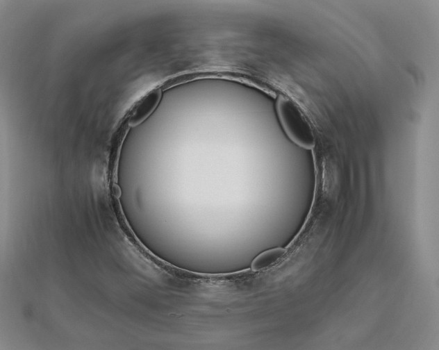 X0000112791452200909041402