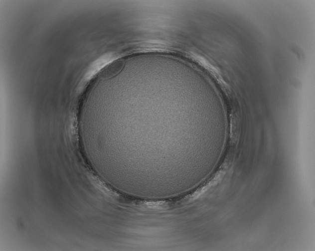 X0000112791453200909041402