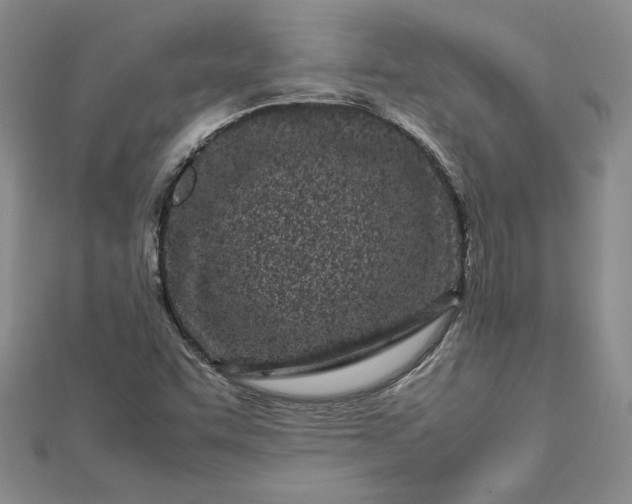 X0000112791455200909041402